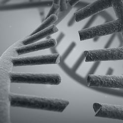 DNA