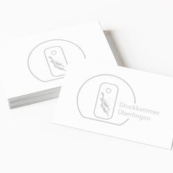 Logo für die Druckkammer des Badischen Tauchsportverbands in Überlingen