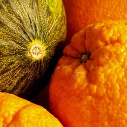 Honigmelone und Orangen