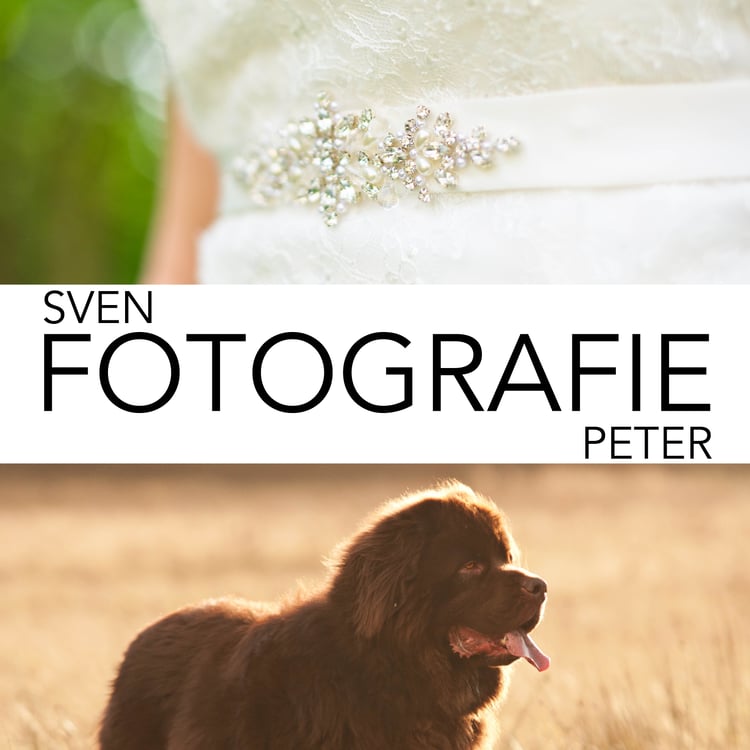 Sven P. Peter
