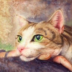 Katzenportrait – Aquarell