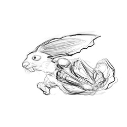 Photo48