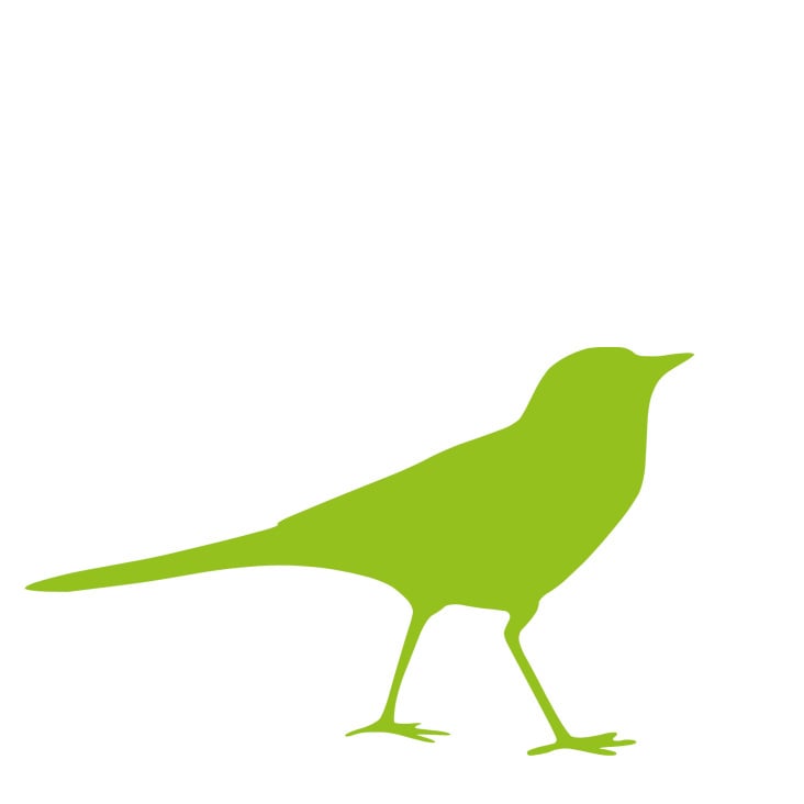 der Vogel