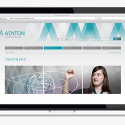 Website