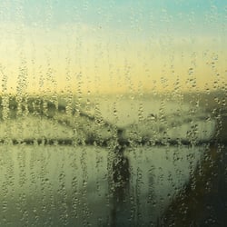 Kölner Südbrücke im Morgentau