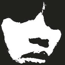 face logo