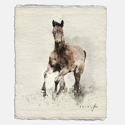 digitales Aquarell nach Fotovorlage