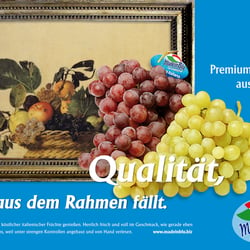 Plakat4