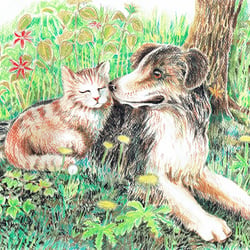 Hund liebt Katze