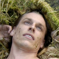 the forrest