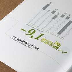 Geschäftsbericht 2017 – Grafik