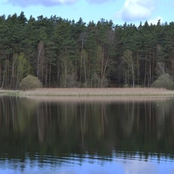 DSC 0038a (FILEminimizer)