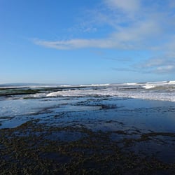 IMG-20180404-WA0005