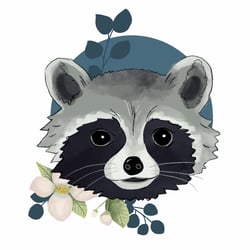 Waschbär