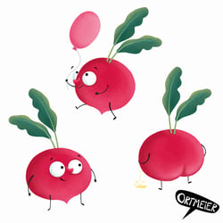 Radieschen 40×40 305dpi 16bit cmyk 01
