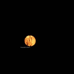 Moon Mai 2014 © by Dina.T