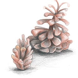 autumn_still_1
