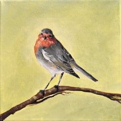 Rotkehlchen in Acryl (19,5 × 19,5 cm)
