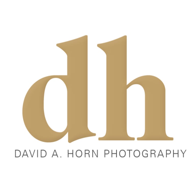 David Horn