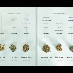 Slanted-Publishers-Tea-Trip 04