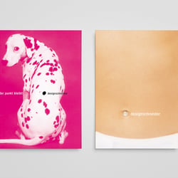 Schneider Design | Erscheinungsbild inkl. Logo für einen Produktdesigner