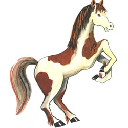 Kanufahrer_Pony