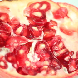 Granatapfel November 2012