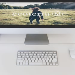 Oeriginal Website