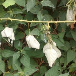 Natur 2012