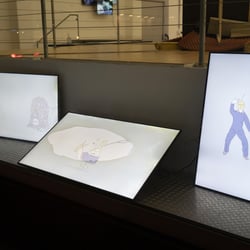 Video Installationen