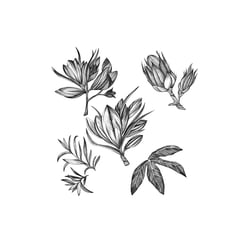 Florale Vignetten