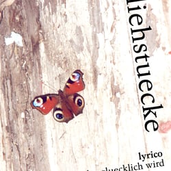Cover des Buches „fliehstuecke“