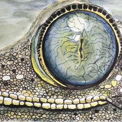 Reptilienaugen3