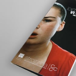 Virtual Identities, Flyer