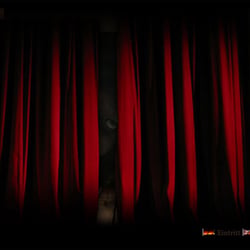 Webdesign „Yupp Regeler Seance“