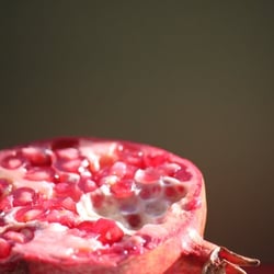 Granatapfel November 2012