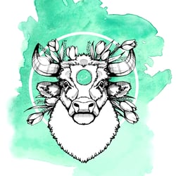 Stier Sternzeichen