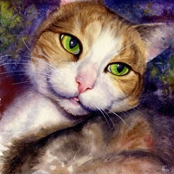 Katzenportrait – Aquarell