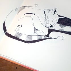 Katze