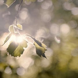Musikvideo Screenshot 2