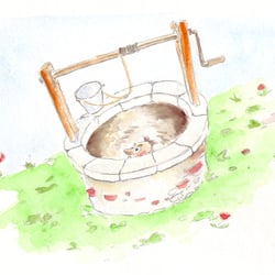 Ist ein Mann in’ Brunnen g’fallen