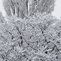 Winter-Impression-VI