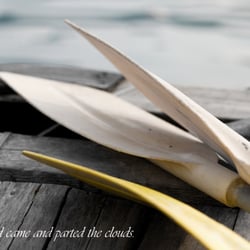A wind came…