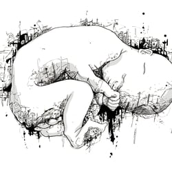 Embryo