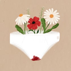 Menstruation