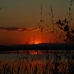 Sonnenuntergang über Etang du Grec in Palavas les Flots