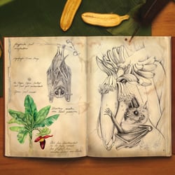 Forscherschreibtisch, Banane und Fledermaus, 2009,Tropicals Islands Management GmbH