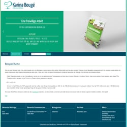 Screenshot Umsetzung Design – Alte Farbvariante / Altes Portfolio