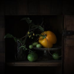 Nachtschatten 2