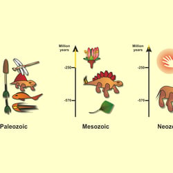 Evolution